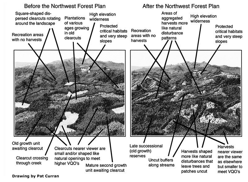 NW Forest Plan graphic