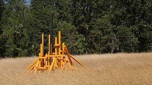 Photo of art installation in a field in front of a forest