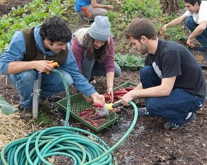 students wash vegetables at community garden