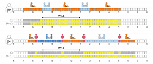 occupancy diagram