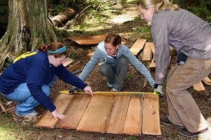 three students measure wood at field school