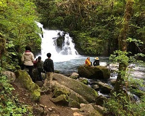 students on hike at Sweet Creek Falls