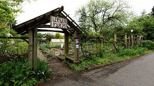 The Urban Farm