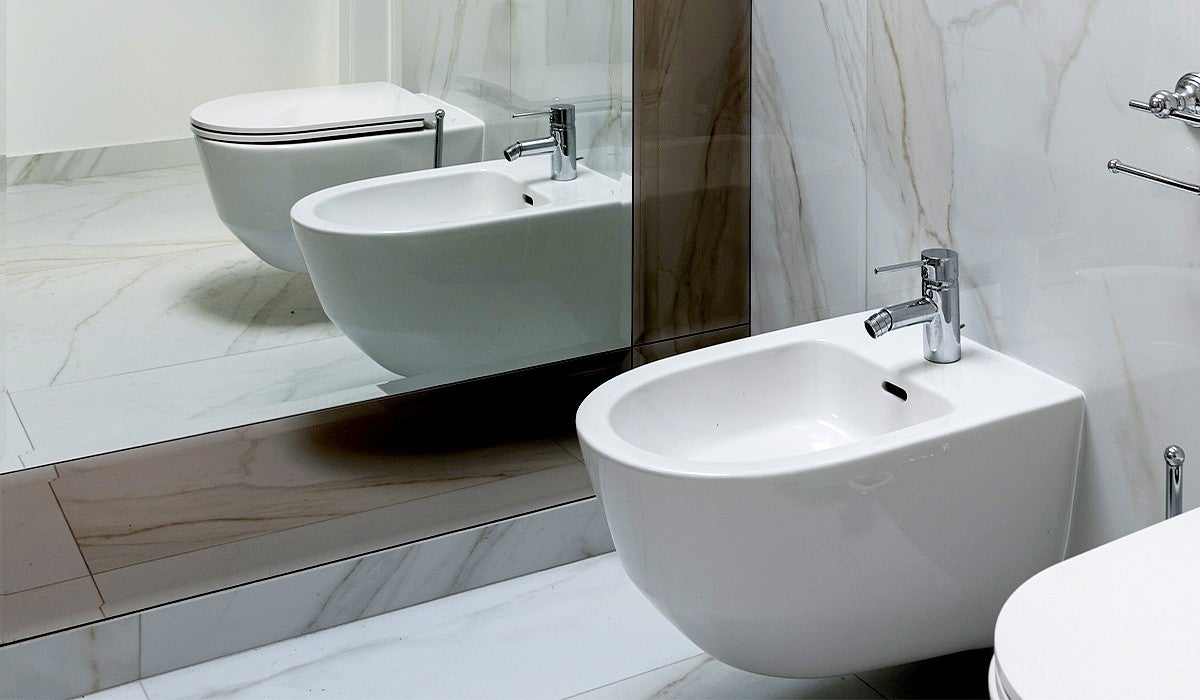 A New Sustainability Debate—Bidet vs. Toilet Paper School of