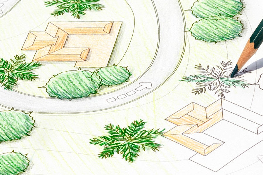 A color drawing of a site plan with plants. 