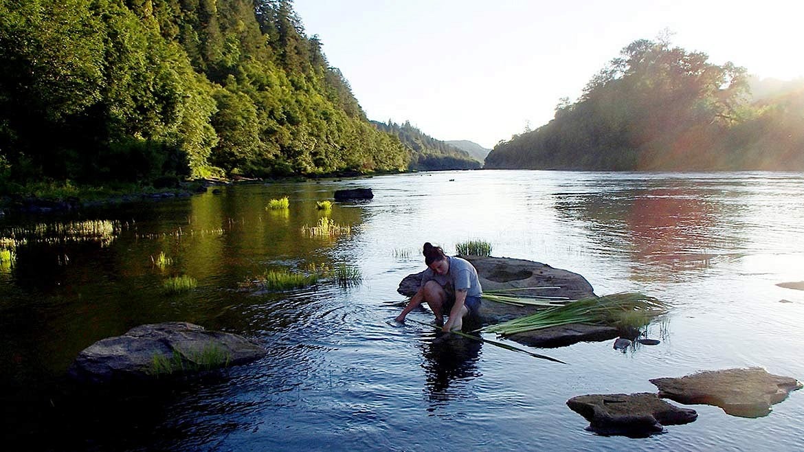 student works with plant materials in river