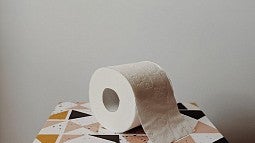 photo of a roll of toilet paper