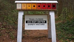 Artwork by David Buckley Borden in Harvard Forest