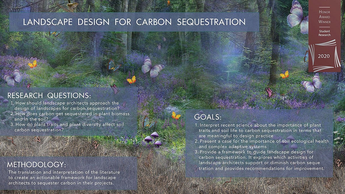 graphic of carbon sequestration project in forest