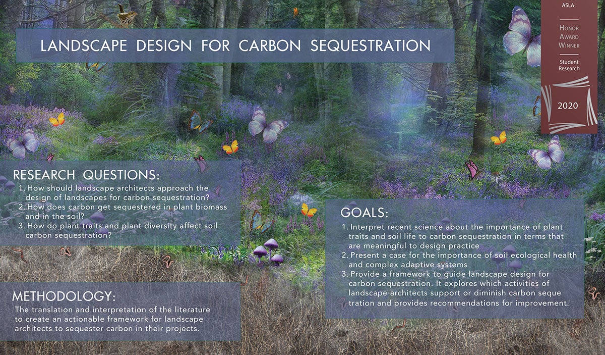 graphic of carbon sequestration project in forest