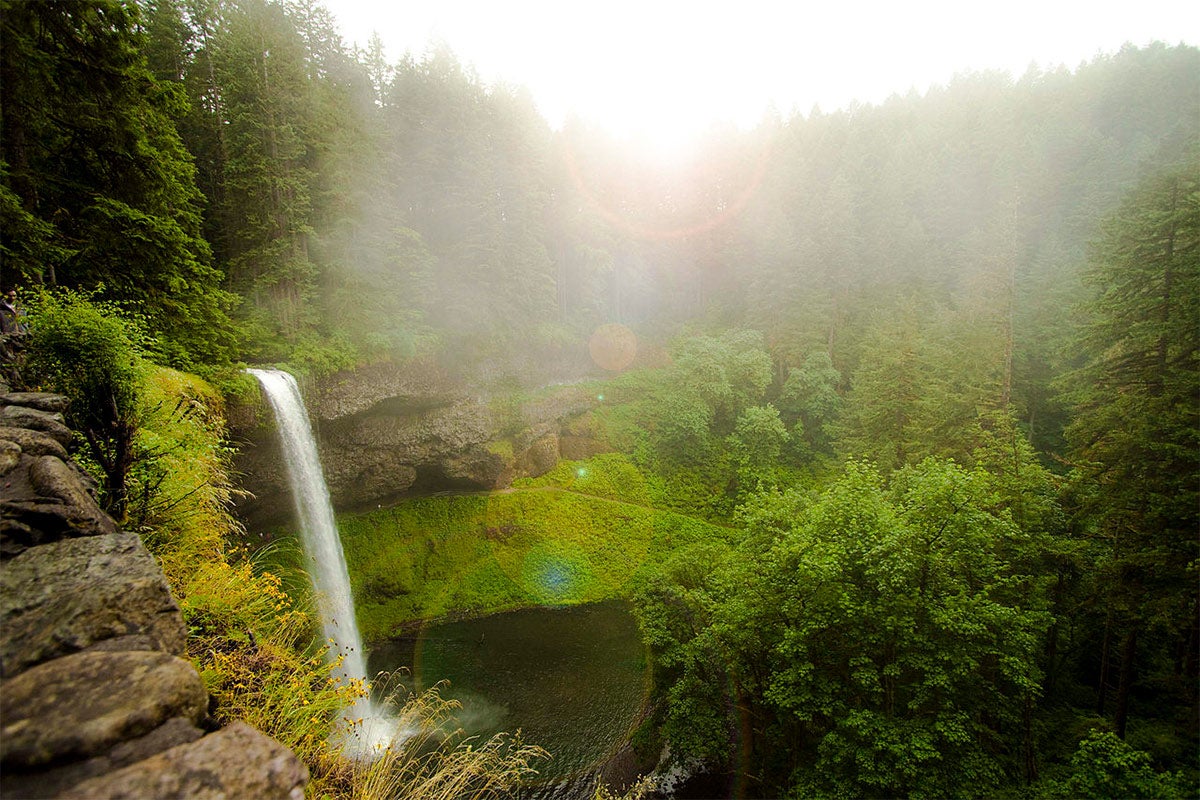 Silver Falls State Park as Your Classroom | School of ...