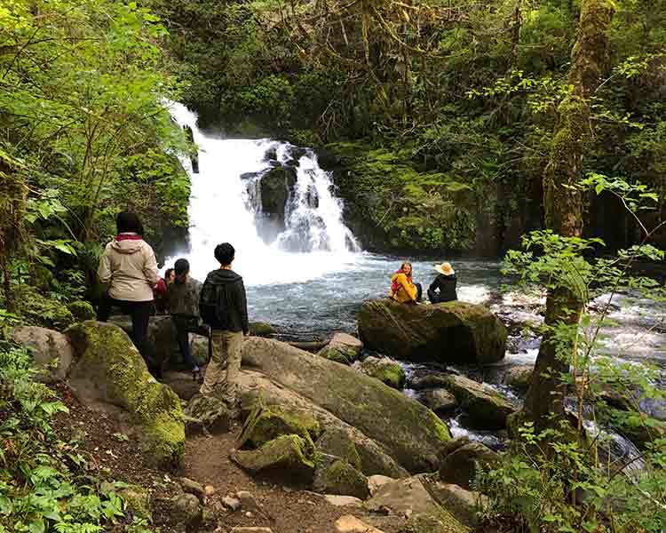 Department Of Landscape Architecture School Students On Hike At Sweet Creek Falls