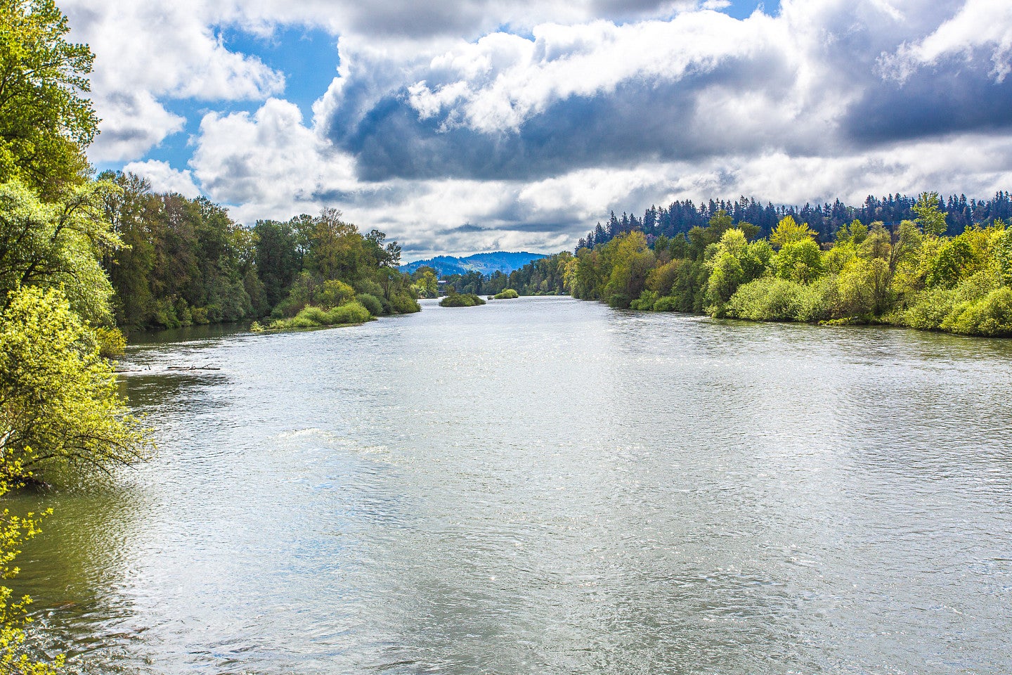 View of the Willamette River.