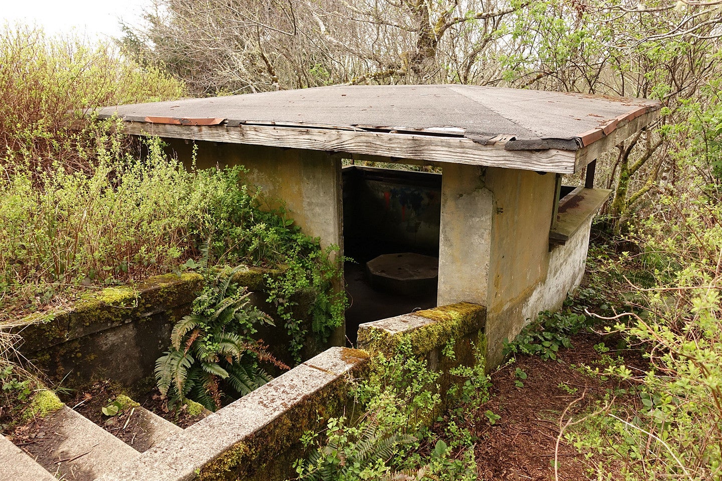 photo of Ft Stevens