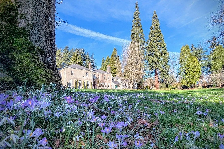 Photograph of the historic Elk Rock Garden estates. Shows an old house surrounded by a collection of trees and blooming flowers with a blue sky. 