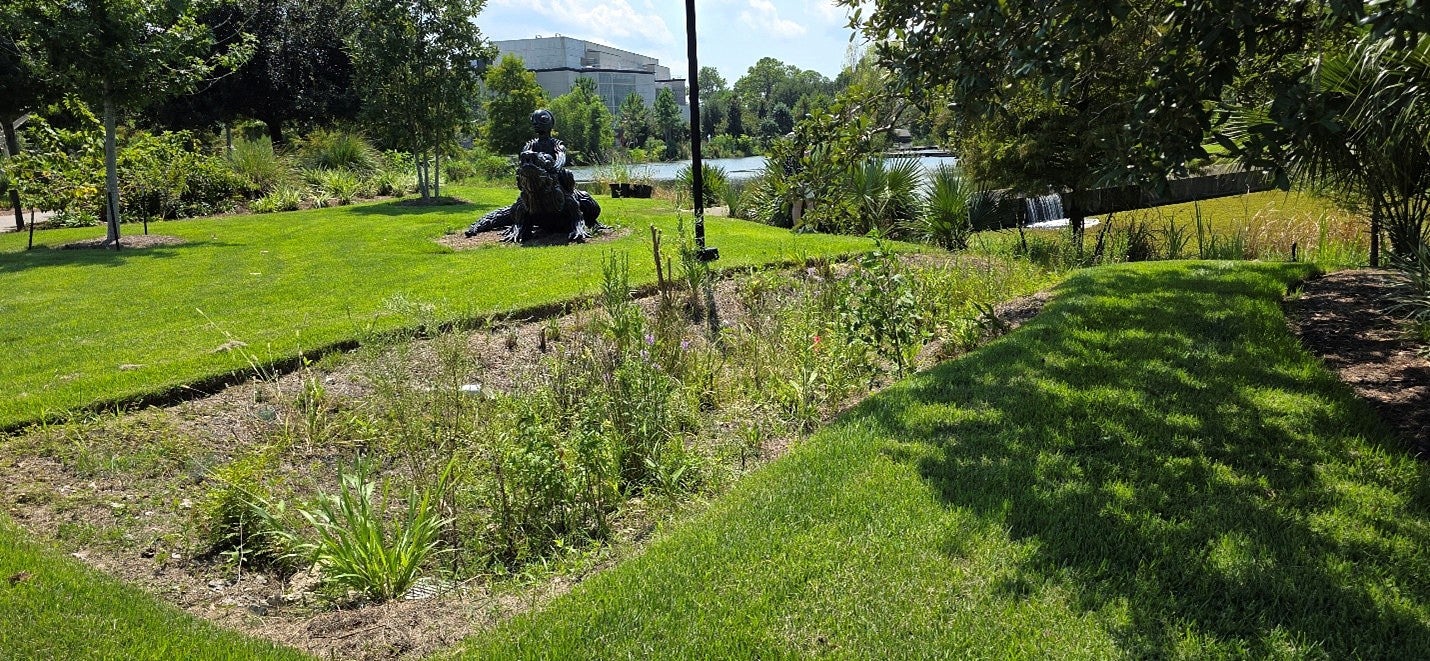 Photograph of a green lawn with other plant life. 