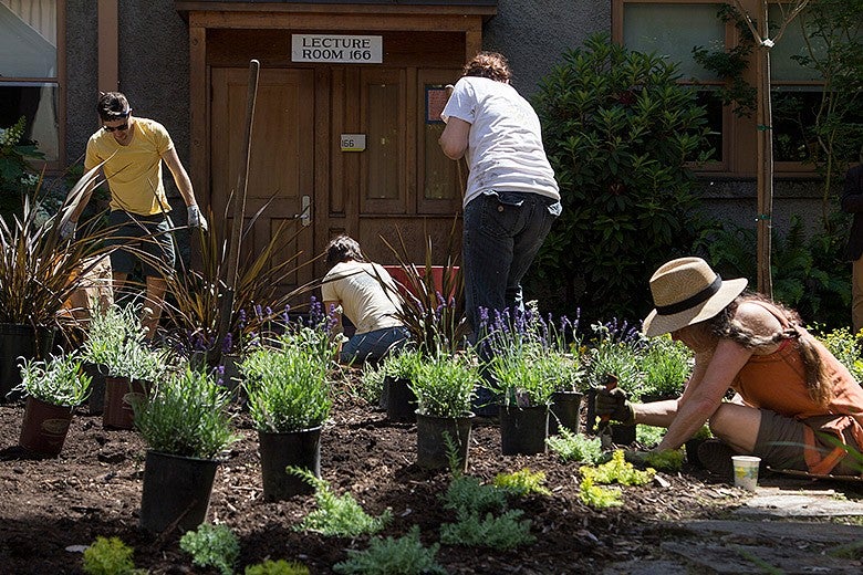 students install Lawrence Hall courtyard