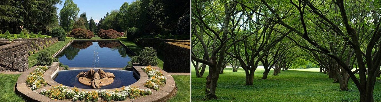 fountain and orchard