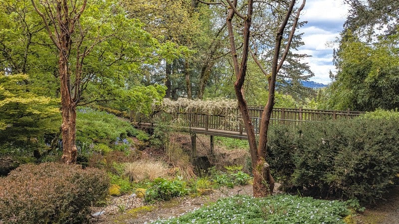 Exterior garden view. 