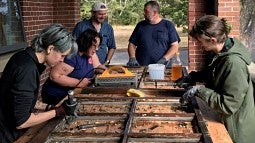 Group photograph of HP students working on a window. 