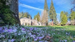 Photograph of the historic Elk Rock Garden estates. Shows an old house surrounded by a collection of trees and blooming flowers with a blue sky. 