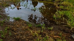 News Header for Arcade article. 