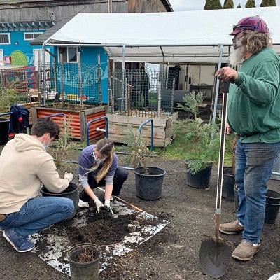 Opportunity Village work by students in the tree nursery. 